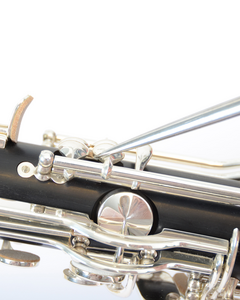 Riss: verkleben - polieren