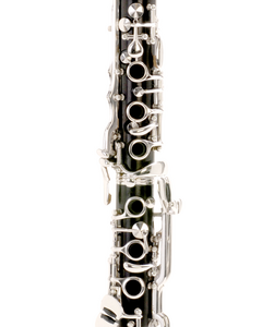 F. Hammerschmidt InterClarinet FH01 B-Klarinette