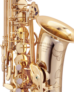 Arnolds & Sons AAS-301 Terra Altsaxofon